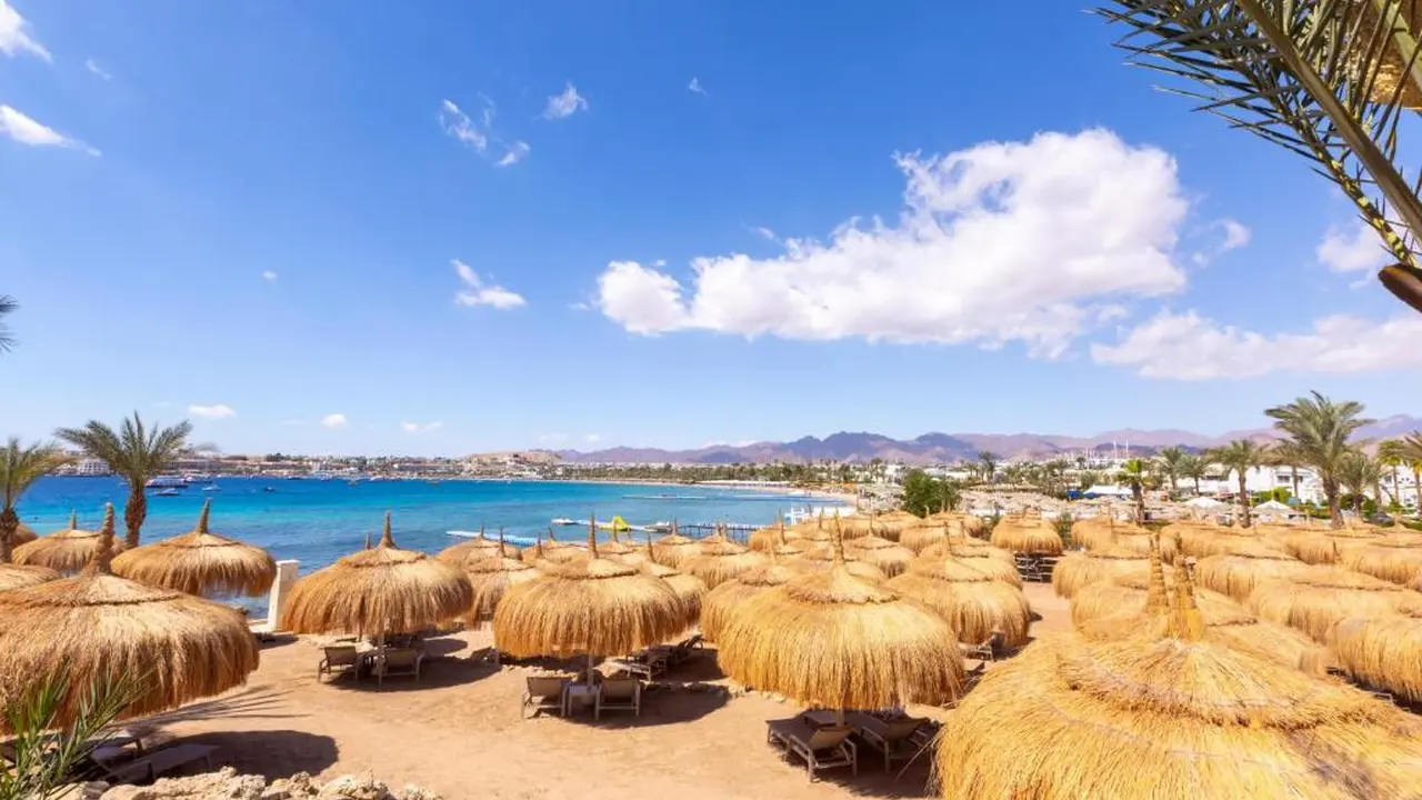 الفندق سويس أوتيل شرم الشيخ - شرم الشيخ